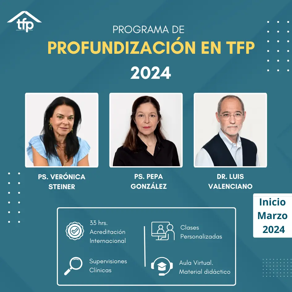 Programa Profundización en TFP 2024