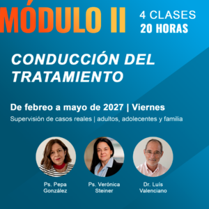 Formación en TFP: evaluar, conducir, sostener un tratamiento con pacientes complejos - MODULO II