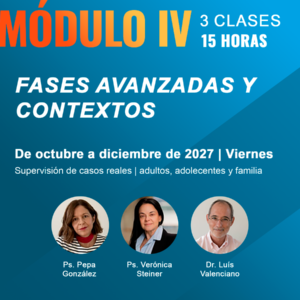 Formación en TFP: evaluar, conducir, sostener un tratamiento con pacientes complejos - MODULO IV